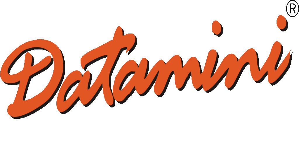 datamini